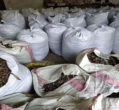 松圖在線商家(圖)-蚯蚓收購公司-臨沂蚯蚓收購