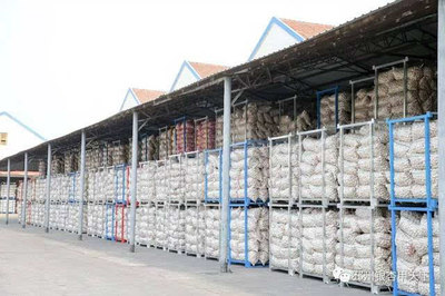 一棵樹、一塊板、一頭蒜,邳州現代農業這篇文章大有所為-財經頻道-手機