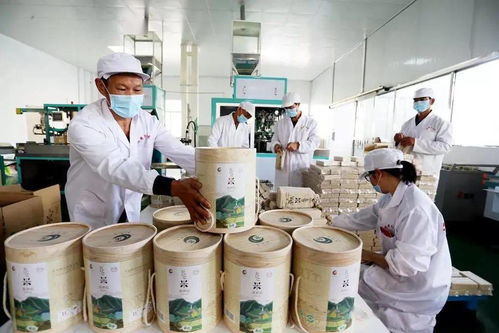 谷香飄萬(wàn)里，增收靠大米 大額資金如何助力產(chǎn)業(yè)騰飛